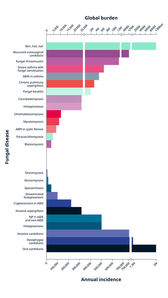 Global Burden Graph